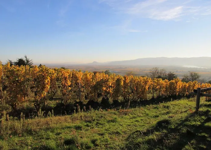 Bed & Breakfast Le Cocon De Curson D'hotes Chanos-Curson