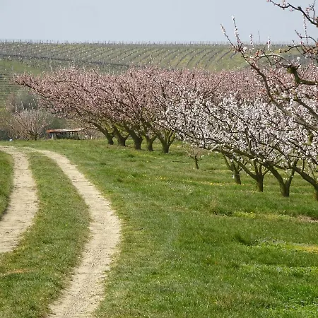 Le Cocon De Curson D'hotes Bed & Breakfast 3*