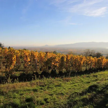 Bed & Breakfast Le Cocon De Curson D'hotes Chanos-Curson